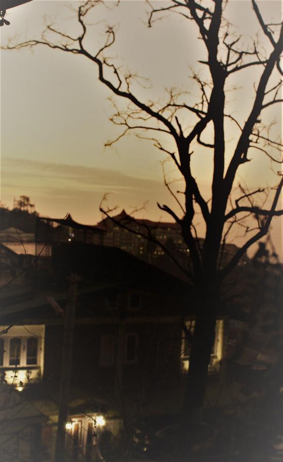 Prakash Cottage 심라 외부 사진